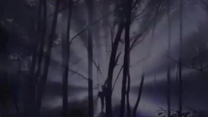 幽幽梦游记